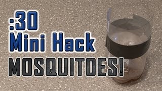 :30 Mini Hack - Mosquitoes!