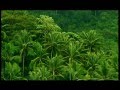 Koh Phangan the spiritual island 2/1 -anzsufilm 2005.m4v