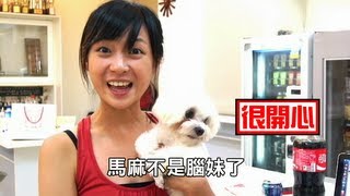 台大獸醫系學生群製作-狂犬病七大迷思破解