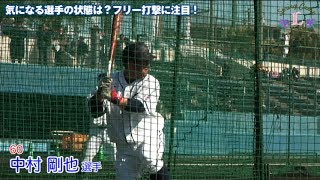 気になる選手の状態は？フリー打撃に注目！[南郷春季キャンプ]