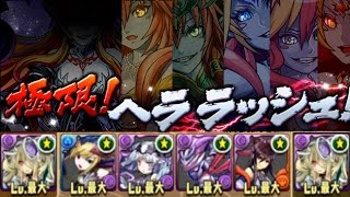 パズドラ【極限ヘララッシュ！】絶地獄級　パンドラPTで初クリア