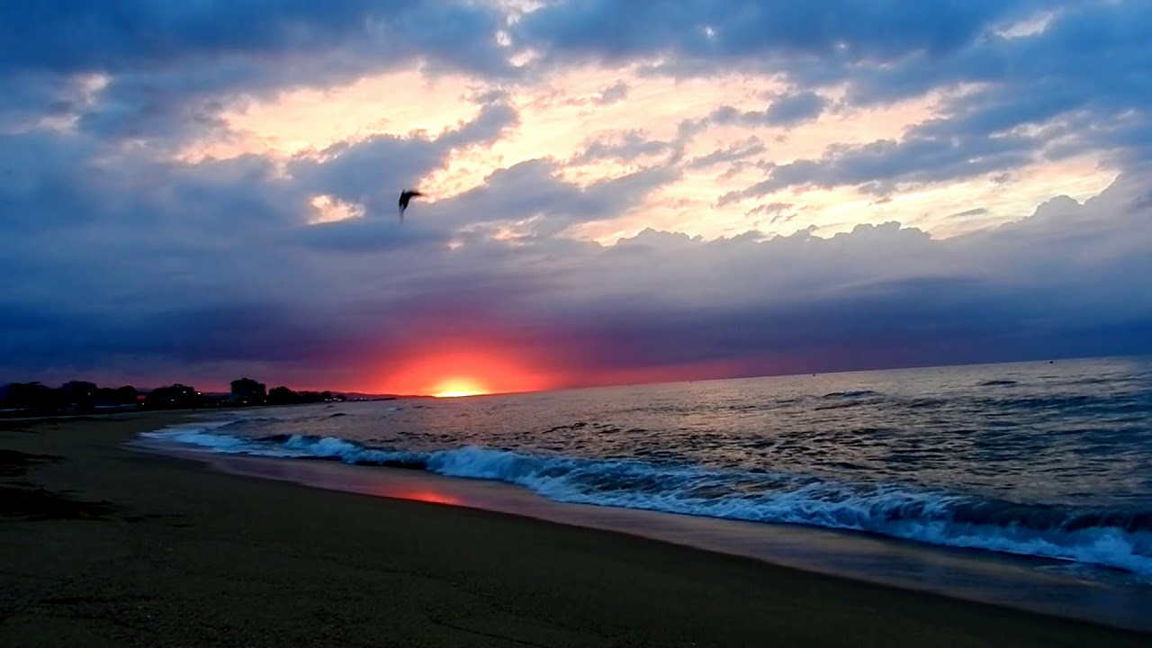 Relax: Amanecer en la playa, sonido del mar HD 1080p [ Sleep Music