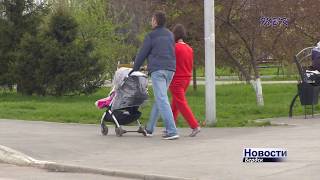 В Бердске снизилась потребность молодых мам в профессиональной переподготовке