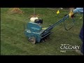 Aerating Your Lawn