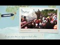Zanzibar Volunteer Project | Community Volunteering | African Impact