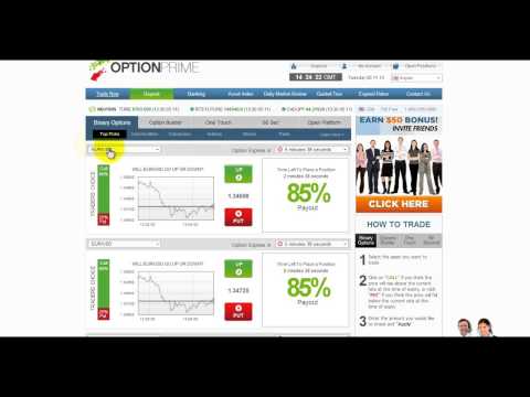 Option trading 360