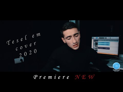 Hamlet Gasparayn - Tesel Em (Cover)