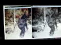 The Best of the Patterson film part 1