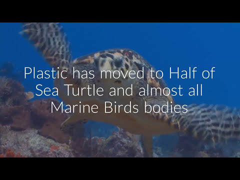 World Earth Day 2018-Reduce Plastic 