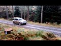 Wales Rally GB Clocaenog Forest SS19 + Crash!