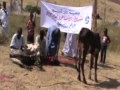 تقرير مشروع ذبح الأضاحي في ارتيريا 2012