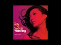 曲婉婷 Wanting - Love Struck Me Down