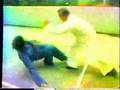Tung Hu Ling Push Hands 1.WMV
