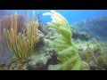 Buceo a port Luis, Guadeloupe