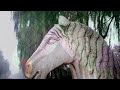 Thumbnail 1 for Chinese New Year 2014 Year Of The Horse Thumbnail 1 for Chinese New Year 2014 Year Of The Horse