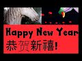 Thumbnail 3 for Chinese New Year 2014 Year Of The Horse Thumbnail 3 for Chinese New Year 2014 Year Of The Horse