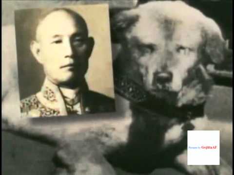 Life and Death of Hachi - Lost and very rare PHOTOS - - YouTube