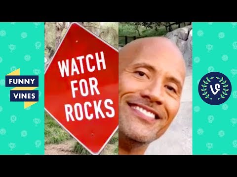 TRY NOT TO LAUGH - Funny Viral Videos From Around The Internet!