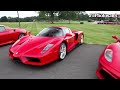 Biggest supercar collection in the USA