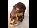 Ancient Red Haired And Elongated Headed People Of Peru