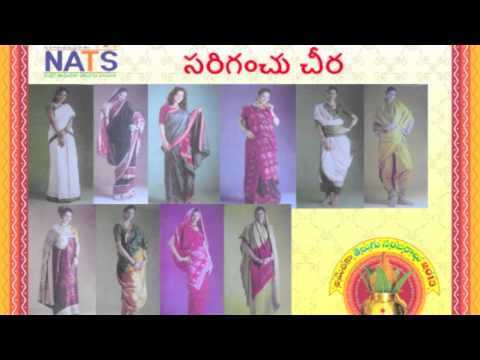 NATS America Telugu Sambaralu 2013 Promo