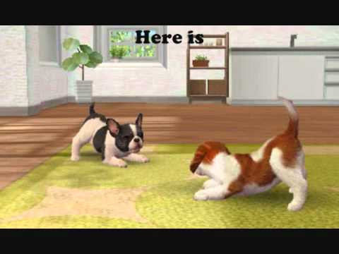 Nintendogs + Cats - Cheats, Tips and Hints - YouTube