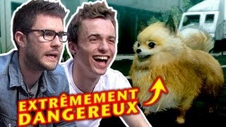 Cyprien Squeezie - Tokyo Jungle, du NAWAK animalier