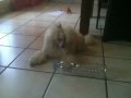 glenn et la bouteille. 30 mai 2012