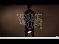 Avicii - Wake Me Up (Pete Tong Radio 1 Premiere)