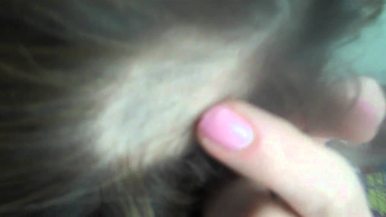 bald headed female porns lesbian sex teacher videos