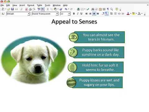 descriptive essay pet dog Essay writing services legit descriptive essay on my pet dog higher computing coursework help masters thesis business technology. descriptive essay pet dog Essay writing services legit descriptive essay on my pet dog higher computing coursework help masters thesis business technology.