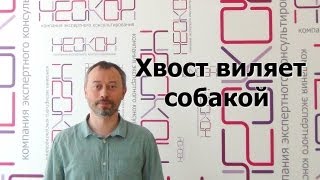 Хвост виляет собакой