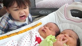 NO NO NO! - April 09, 2014 - itsJudysLife Daily Vlog