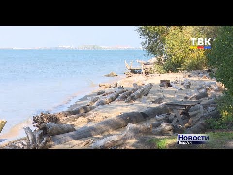 В Бердск прибыли специалисты по берегоукреплению В Бердск прибыли специалисты по берегоукреплению
