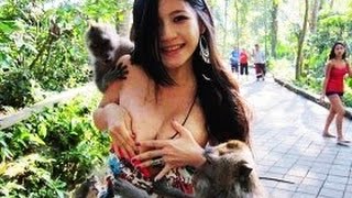 Wisata sex jogya