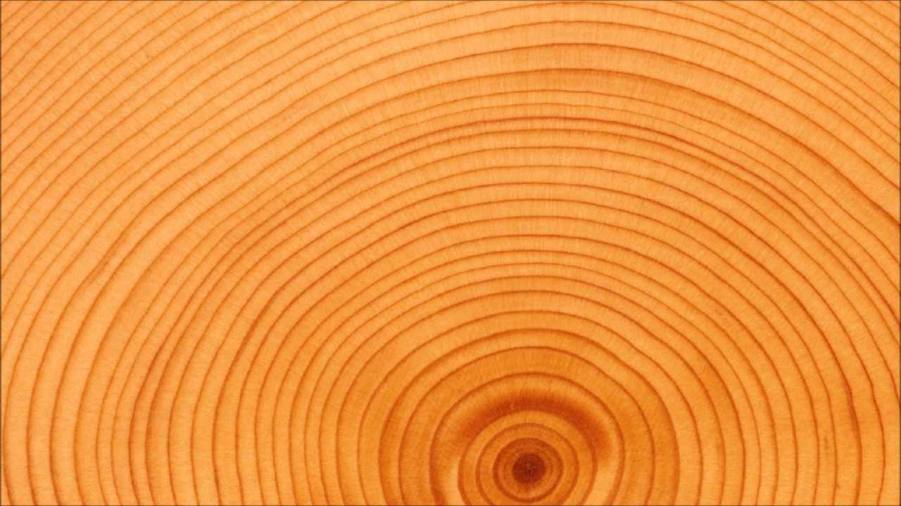 tree ring dating accuracy