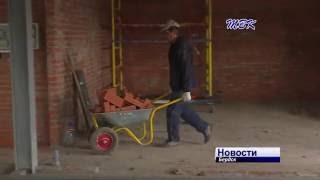 Когда животные из бердского приюта «Надежда» переедут на новое место?