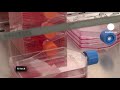 euronews hi-tech - Du tissu musculaire fabriqué par une imprimante 3D