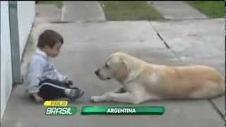 Cachorro faz de tudo para conseguir amizade de garoto com síndrome de Down