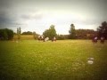 sauvagnas septembre 2013 : carrousel