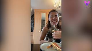 Gato robando comida