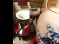 Ann Arbor Chinese Porcelain Exhibition (Part I)