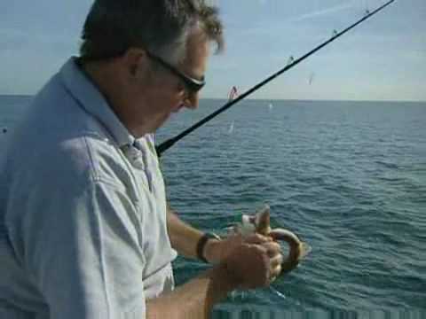 sky sports Keith Arthur and Alan yates Conger fishing on Brighton diver october 2008