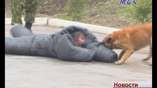 Военные сборы школьников закончились в Искитиме