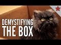 Colonel Meow's Diaries: Demystifying the Box