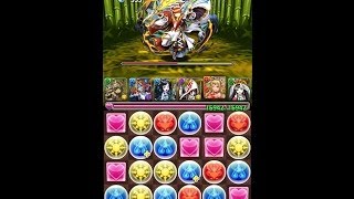 パズドラ タケミナカタ降臨！【木闇無し】武刀神 地獄級(バステト×クシナダヒメPT) ノーコンクリア攻略動画