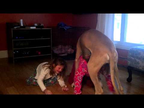 sexy eva pigford in the nude great dane humps naked girl