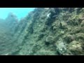 Byron Bay Shipwreck