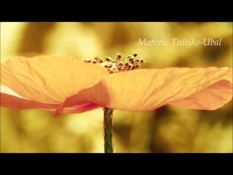 Flores Suspiran Mujeres (Trailer 2014)