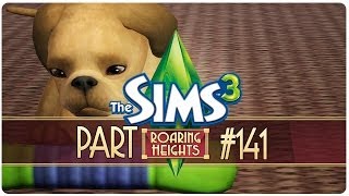 #141 ★ Im Warmen Nudeln [Let's Play: DIE SIMS 3] + Alle Erweiterungen